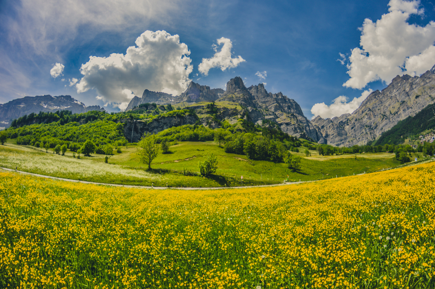 Leukerbad mit Blumenwiese